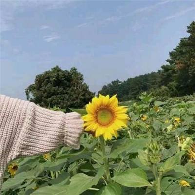 禁止将居民住宅专门用于安放骨灰
